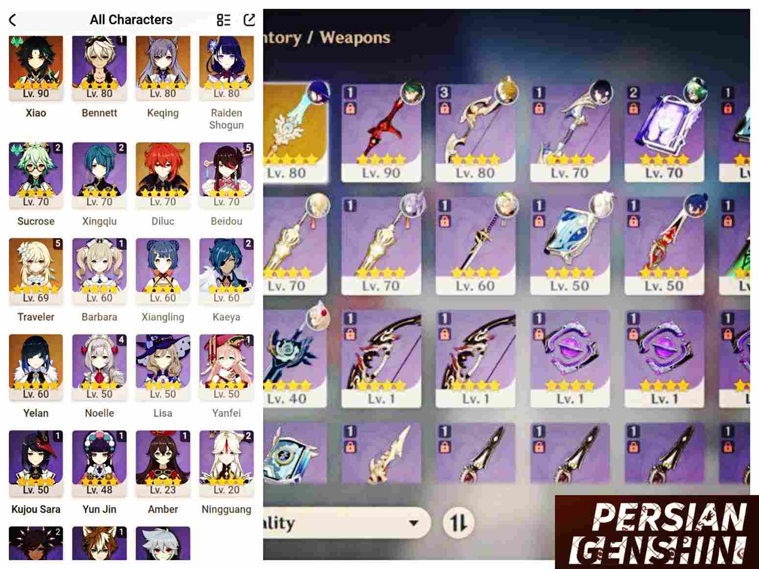 Yelan, Xiao, Keqing, Diluc, Raiden Shogun